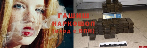 стаф Гусев