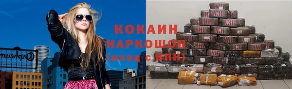 стаф Гусев