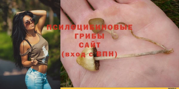 MDMA Гусь-Хрустальный