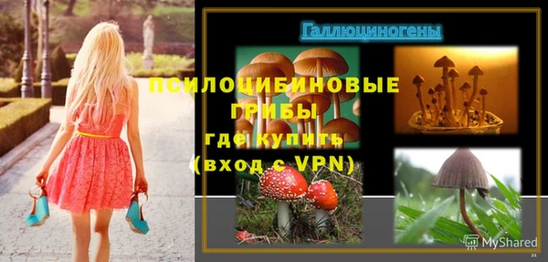 спайс Гусиноозёрск