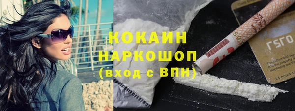 стаф Гусев