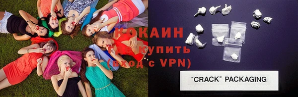 стаф Гусев
