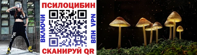 кракен   Зерноград  Псилоцибиновые грибы Magic Shrooms 